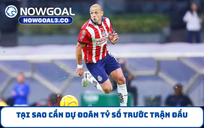 Tại sao cần dự đoán tỷ số trước trận đấu