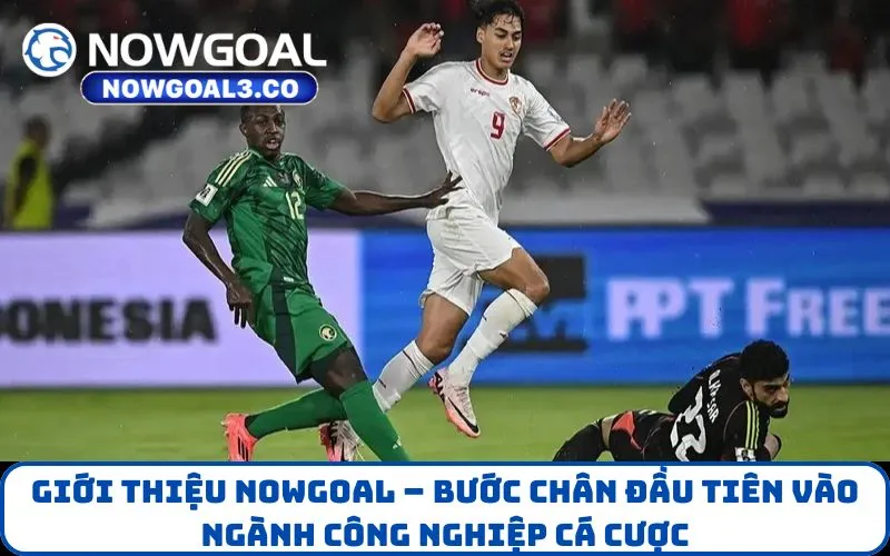 Giới thiệu NOWGOAL – Bước chân đầu tiên vào ngành công nghiệp cá cược
