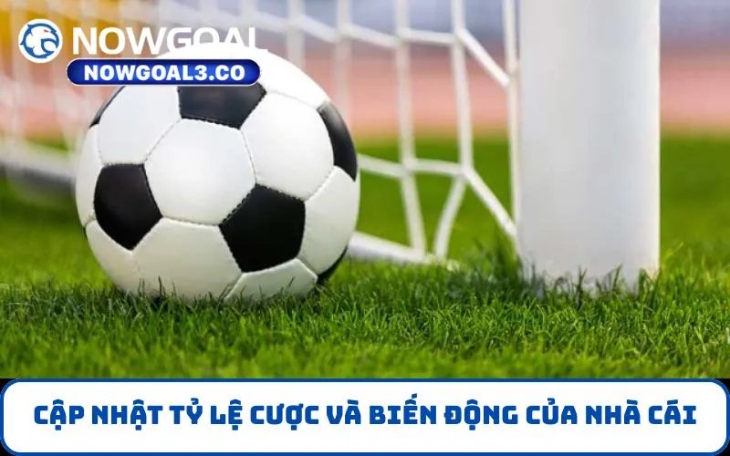 Cập nhật tỷ lệ cược và biến động của nhà cái