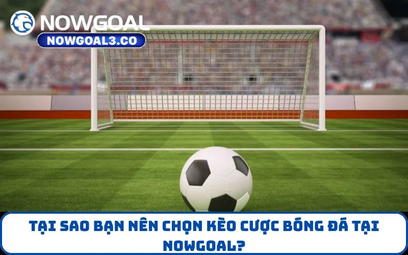 Tại sao bạn nên chọn Kèo Cược bóng đá tại NOWGOAL?