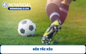 Kèo tài xỉu
