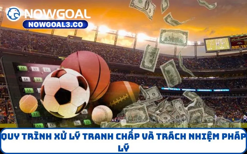 Quy trình xử lý tranh chấp và trách nhiệm pháp lý